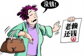 崇左企业清欠服务